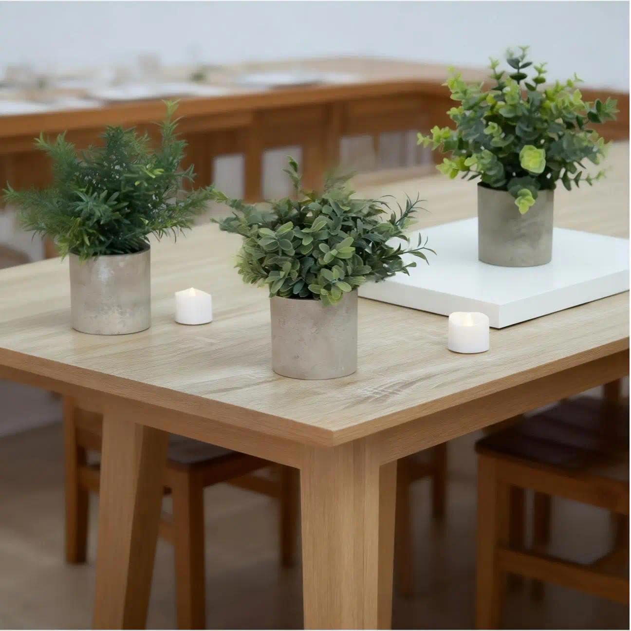 3 Pack Mini Plants Artificial Plants