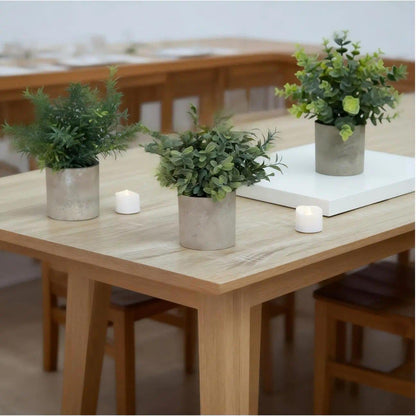 3 Pack Mini Plants Artificial Plants