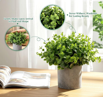 3 Pack Mini Plants Artificial Plants